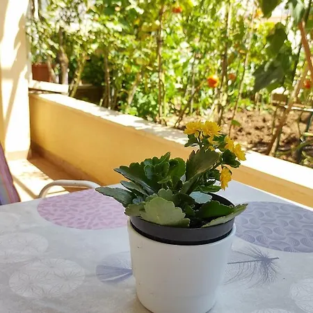 Anna בית הארחה