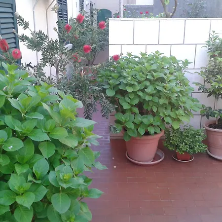 Maison d'hôtes Anna Dubrovnik