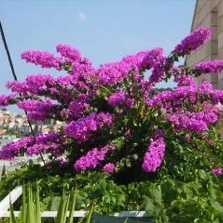 Anna Maison d'hôtes